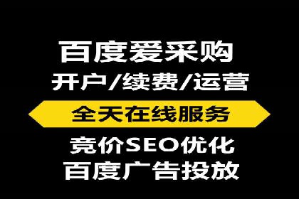 百度竞价SEM深度解析：某行业成功推广经验